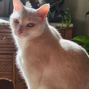 Meet your Posher, Caroyl.